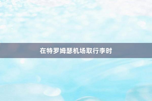在特罗姆瑟机场取行李时